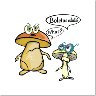 Boletus edulis? What? "'Crazy mushrooms'' Posters and Art